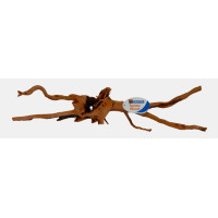 Spider Wood X Large